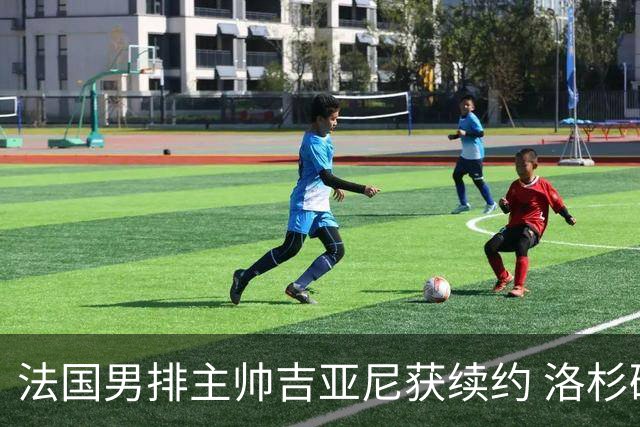 法国男排主帅吉亚尼获续约 洛杉矶周期将继续带队